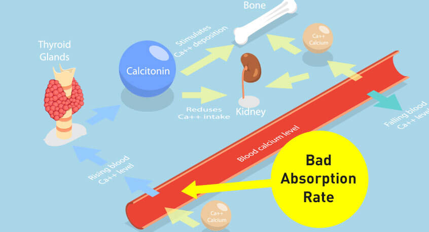 Chart depicting absorption rates